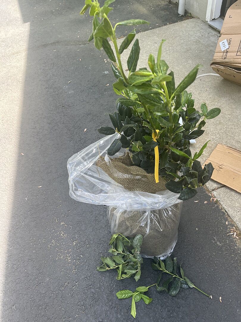 I was very disappointed on the size
