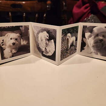 Photo of review by Courtney on May 17, 2025 #1