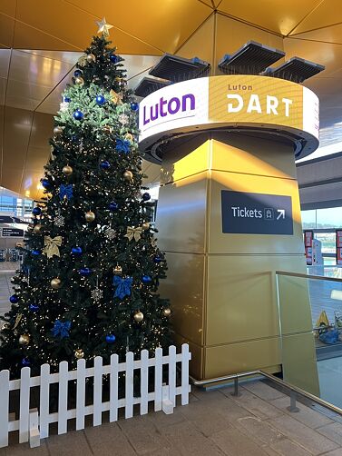 14ft Arbor Vitae Fir Tree at a local train station