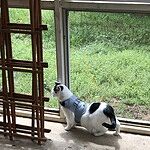 Image of Review by Erin B. on 22 May 2025 number 1