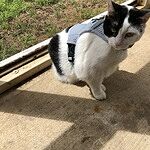 Image of Review by Erin B. on 22 May 2025 number 2