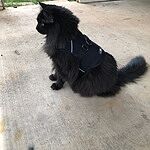 Image of Review by Erin B. on 22 May 2025 number 3
