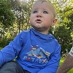 Image of Review by Andy F. on 22 May 2025 number 1