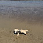 Image of Review by veronica O. on 23 May 2025 number 1