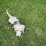 Image of Review by veronica O. on 23 May 2025 number 2