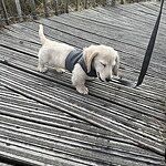 Image of Review by veronica O. on 23 May 2025 number 3