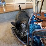 Image of Review by Katrin A. on 23 May 2025 number 1