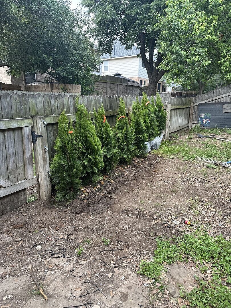 Planted and ready to grow
