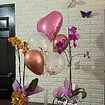Image of Review by Silvia T. on 26 May 2025 number 3