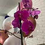 Image of Review by Silvia T. on 26 May 2025 number 2