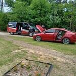 Image of Review by Paula S. on 26 May 2025 number 1