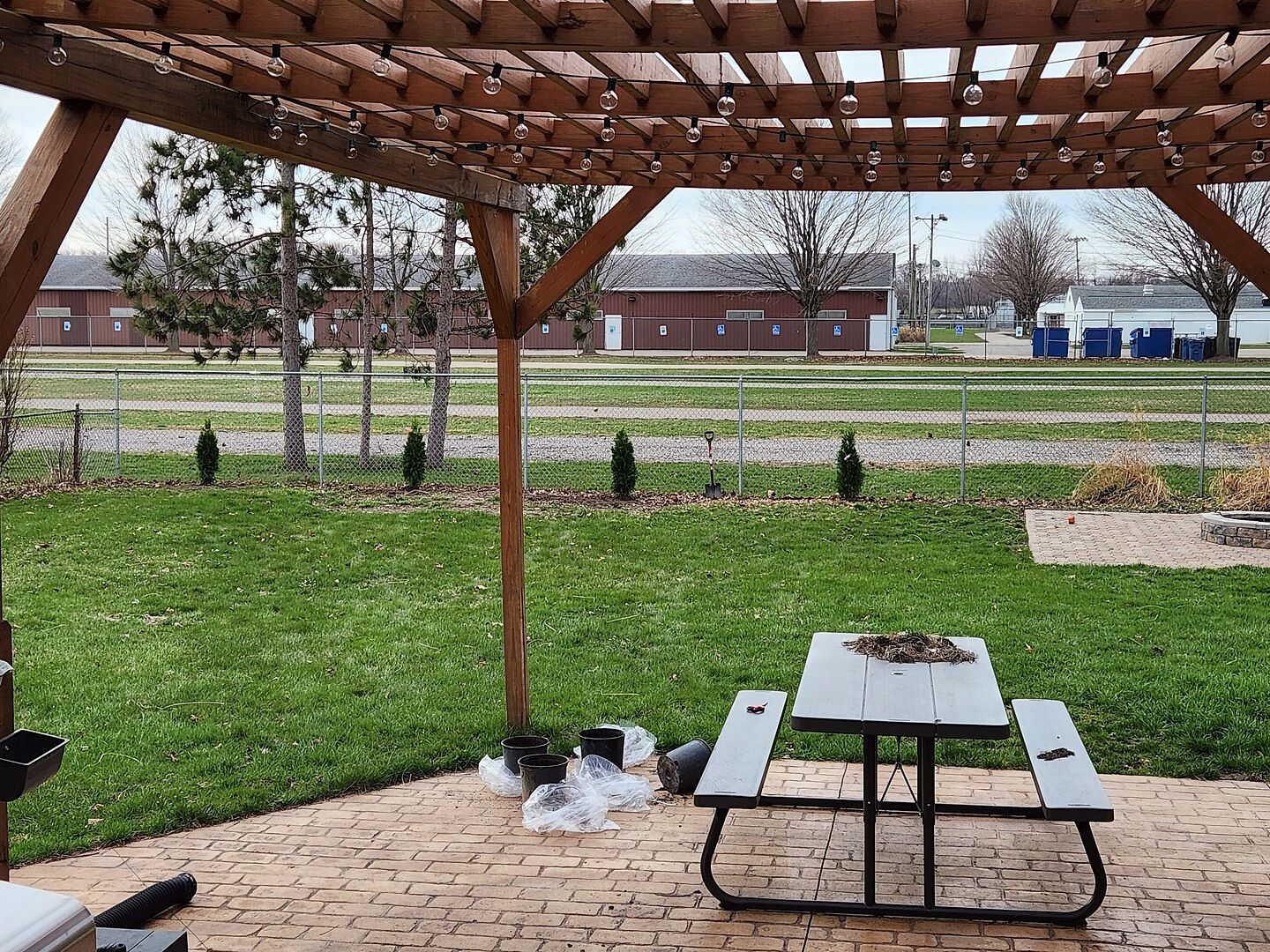 Two Years After Planting, Trees Are Growing Strong