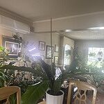 Image of Review by Carolyn B. on 31 May 2025 number 1