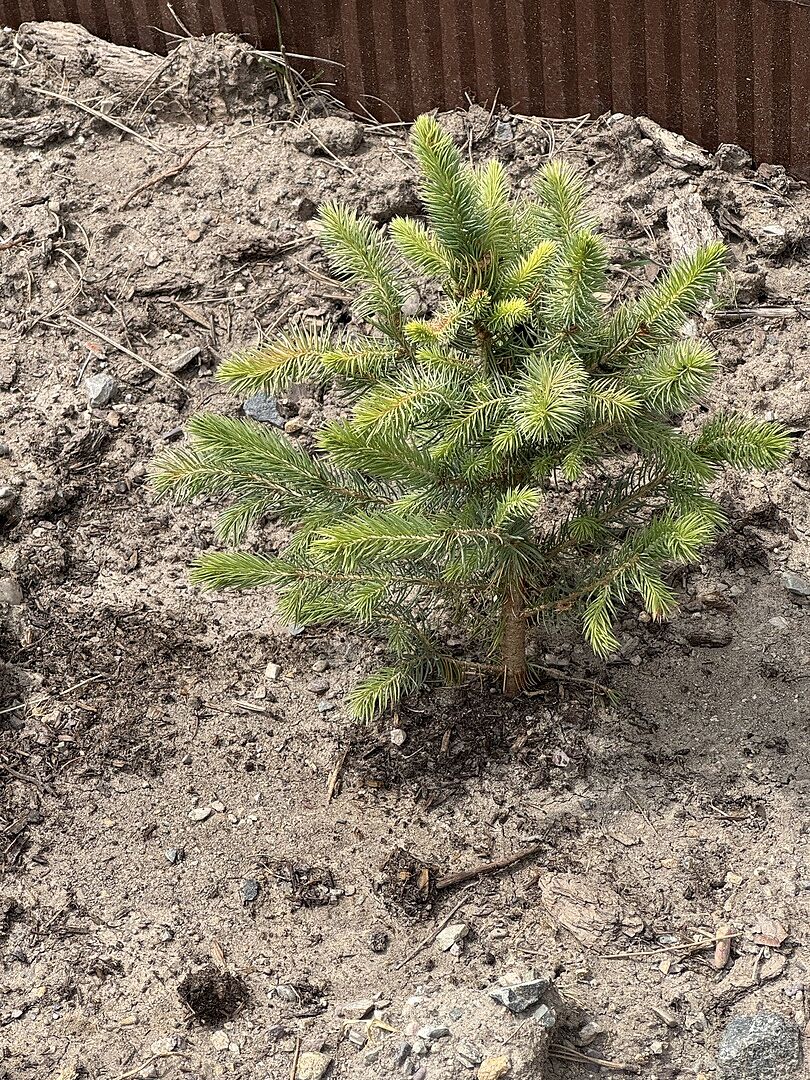 Tiny but healthy