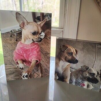 Photo of review by Marjorie on Jun 4, 2025 #1