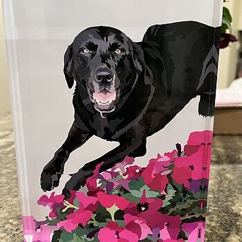 Photo of review by Mary on Jun 5, 2025 #1