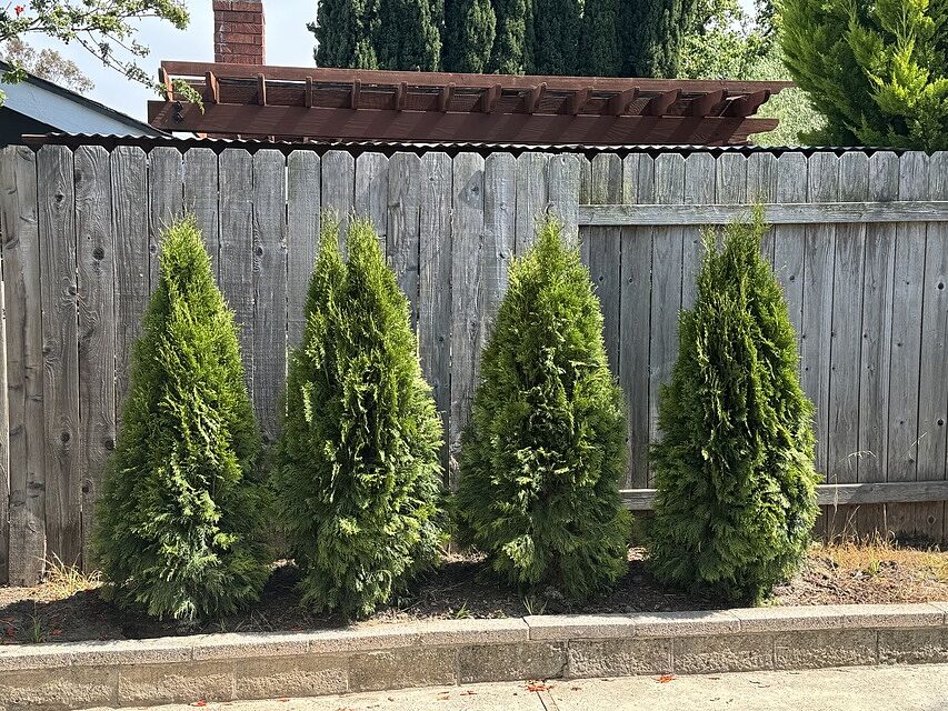 Photo from review by James S.