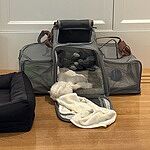 Image of Review by Janet B. on  8 Jun 2025 number 1