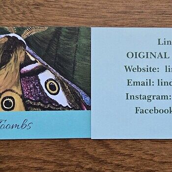 Photo of review by Linda on Jun 10, 2025 #1