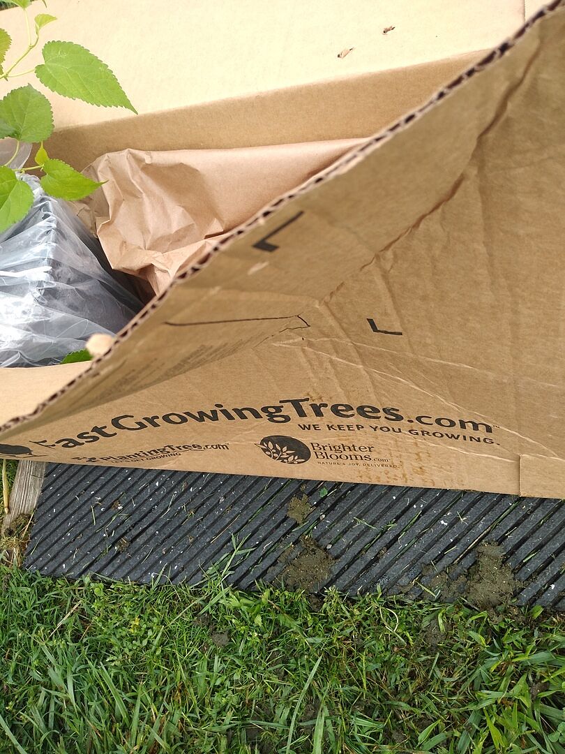 Damaged in shipment but no worries. . .