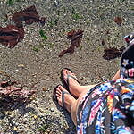 Image of Review by Amber on 11 Jun 2025 number 2