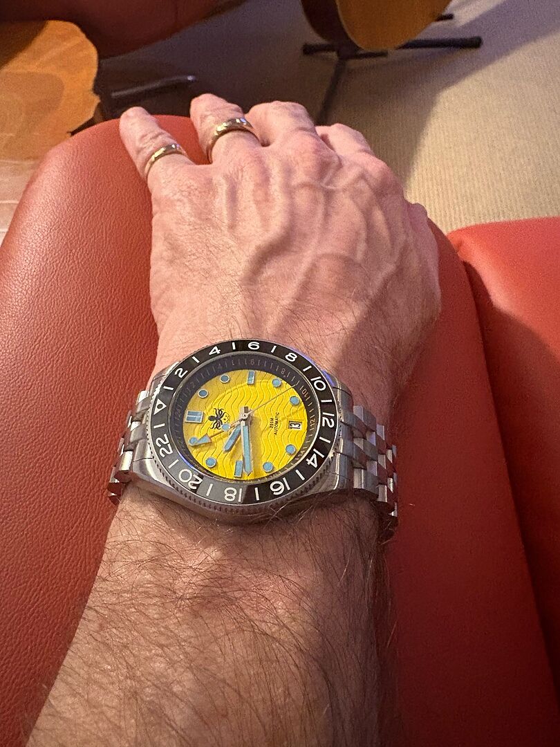 パフィオ 直前】佐藤蘭園のパフィオ(グリーン・スジ入り) - 花材通販はなどんや