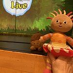 Image of Review by Paula S. on 14 Jun 2025 number 1