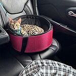 Image of Review by Lisa h. on 17 Jun 2025 number 1