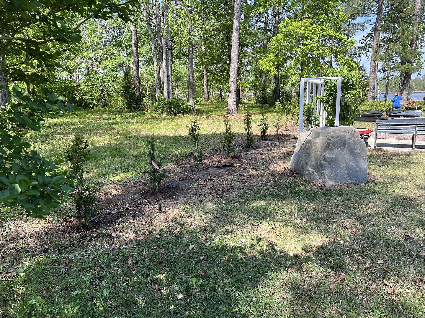 Total of 40 trees