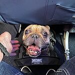 Image of Review by Debbie C. on 19 Jun 2025 number 1