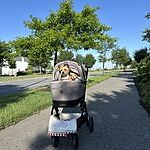 Image of Review by Cindy W. on 19 Jun 2025 number 1