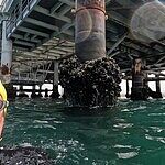 Image of Review by Niel D. on 19 Jun 2025 number 1