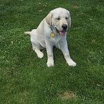 Image of Review by Martin C. on 20 Jun 2025 number 1