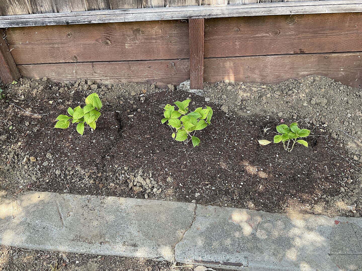 In the ground❣️