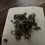Customer Review Image