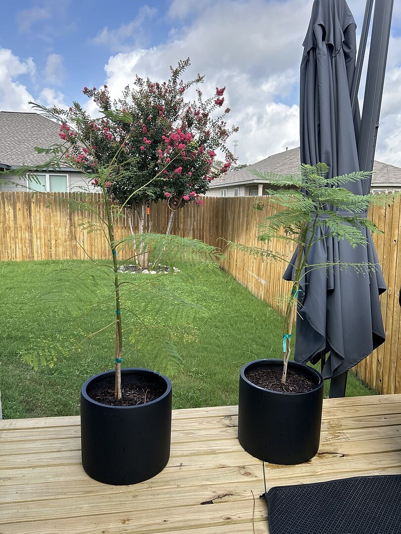 Took about a week for