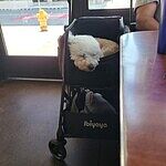 Image of Review by Amber F. on 24 Jun 2025 number 1