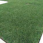Image of Review by Carl F. on 24 Jun 2025 number 2