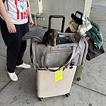 Image of Review by Arianna H. on 25 Jun 2025 number 1