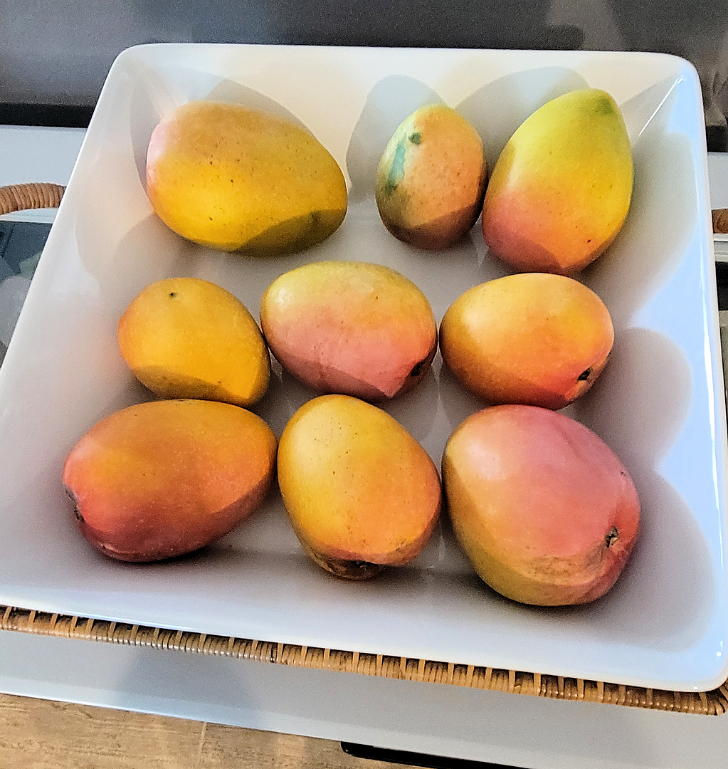 MANGOES