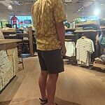 Image of Review by D on 26 Jun 2025 number 1