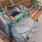 Image of Review by Candace S. on 27 Jun 2025 number 1