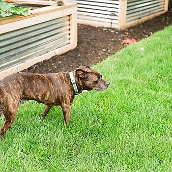 Photo of review by Alie on Jun 28, 2025 #1