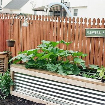 Photo of review by Alie on Jun 28, 2025 #2