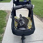 Image of Review by Jasmine C. on 29 Jun 2025 number 1