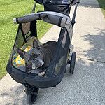 Image of Review by Jasmine C. on 29 Jun 2025 number 2
