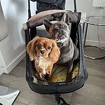 Image of Review by Jasmine C. on 29 Jun 2025 number 3