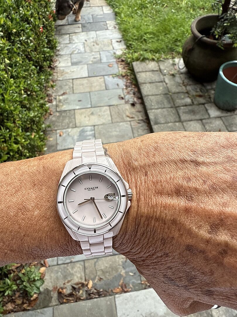 Coach | Movado Company Store | Coach Preston Women display picture 2
