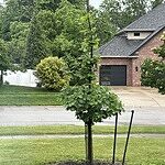 Image of Review by Joanne S. on  1 Jul 2025 number 1