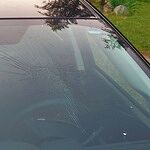 Image of Review by Chris G. on  1 Jul 2025 number 1